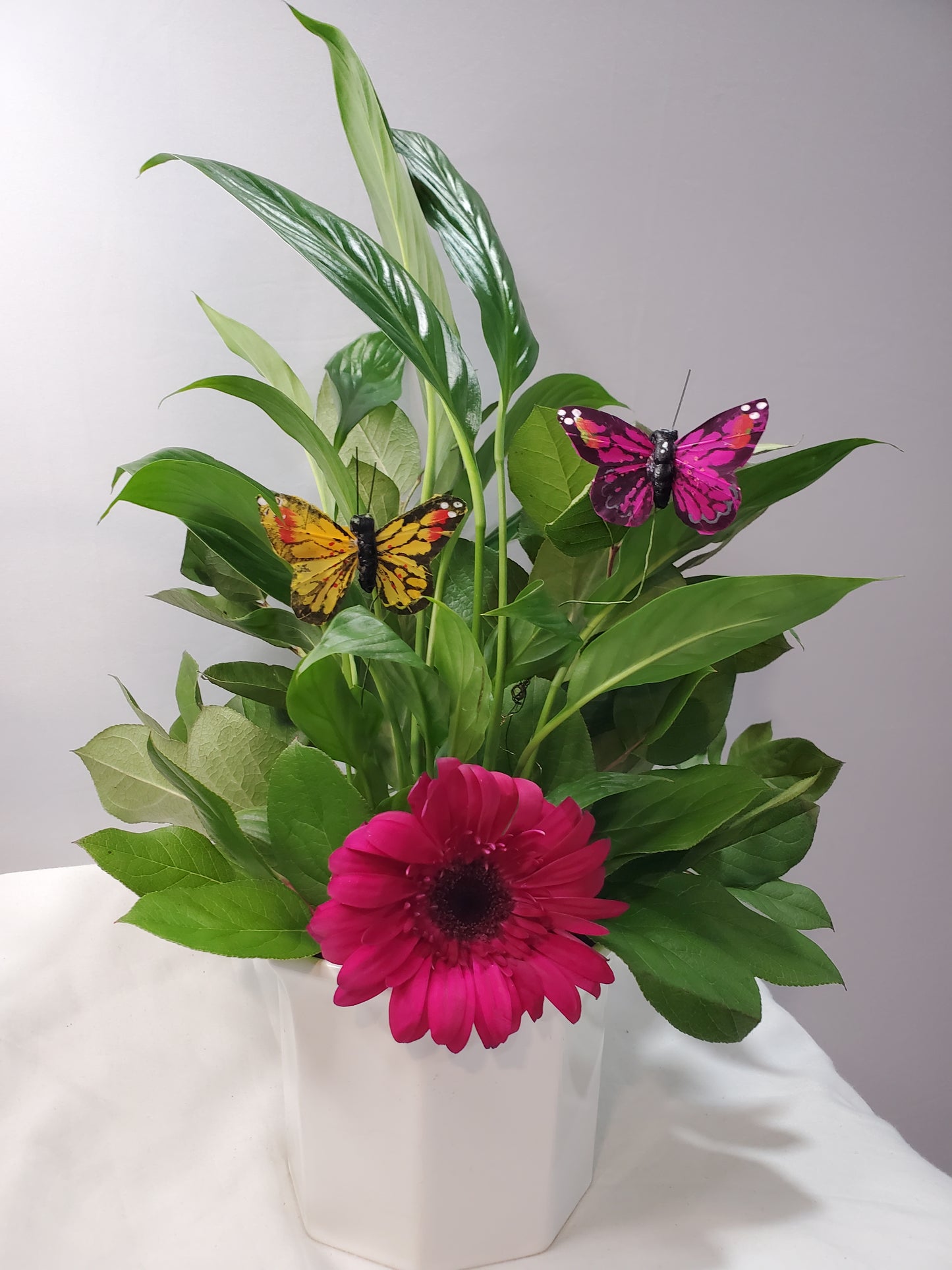 Lively Lilly (Small)