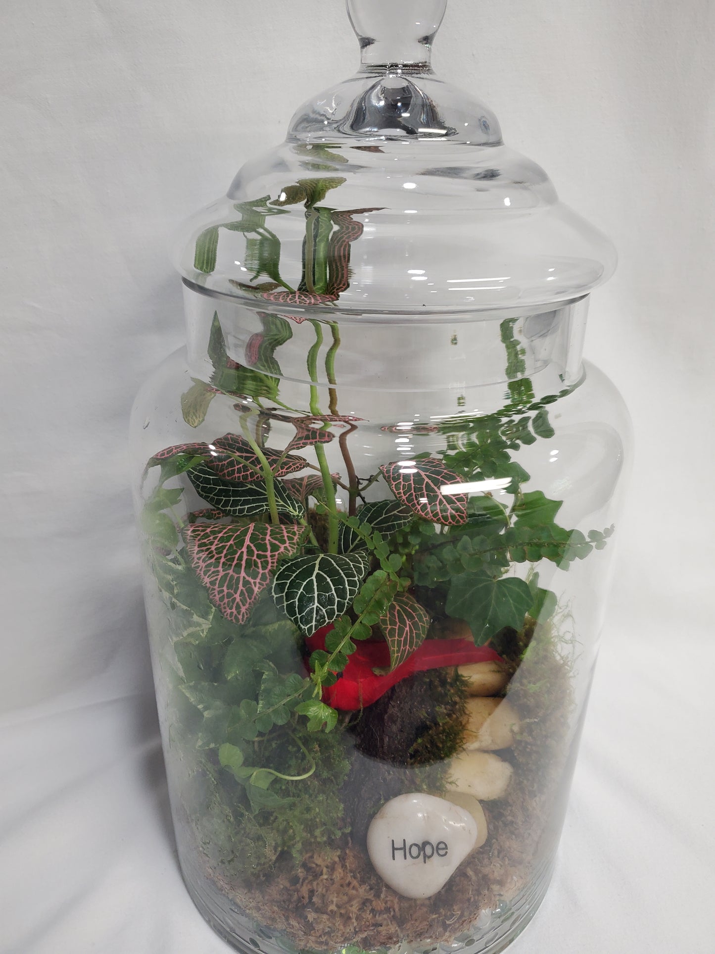 Cardinal Terrarium Garden