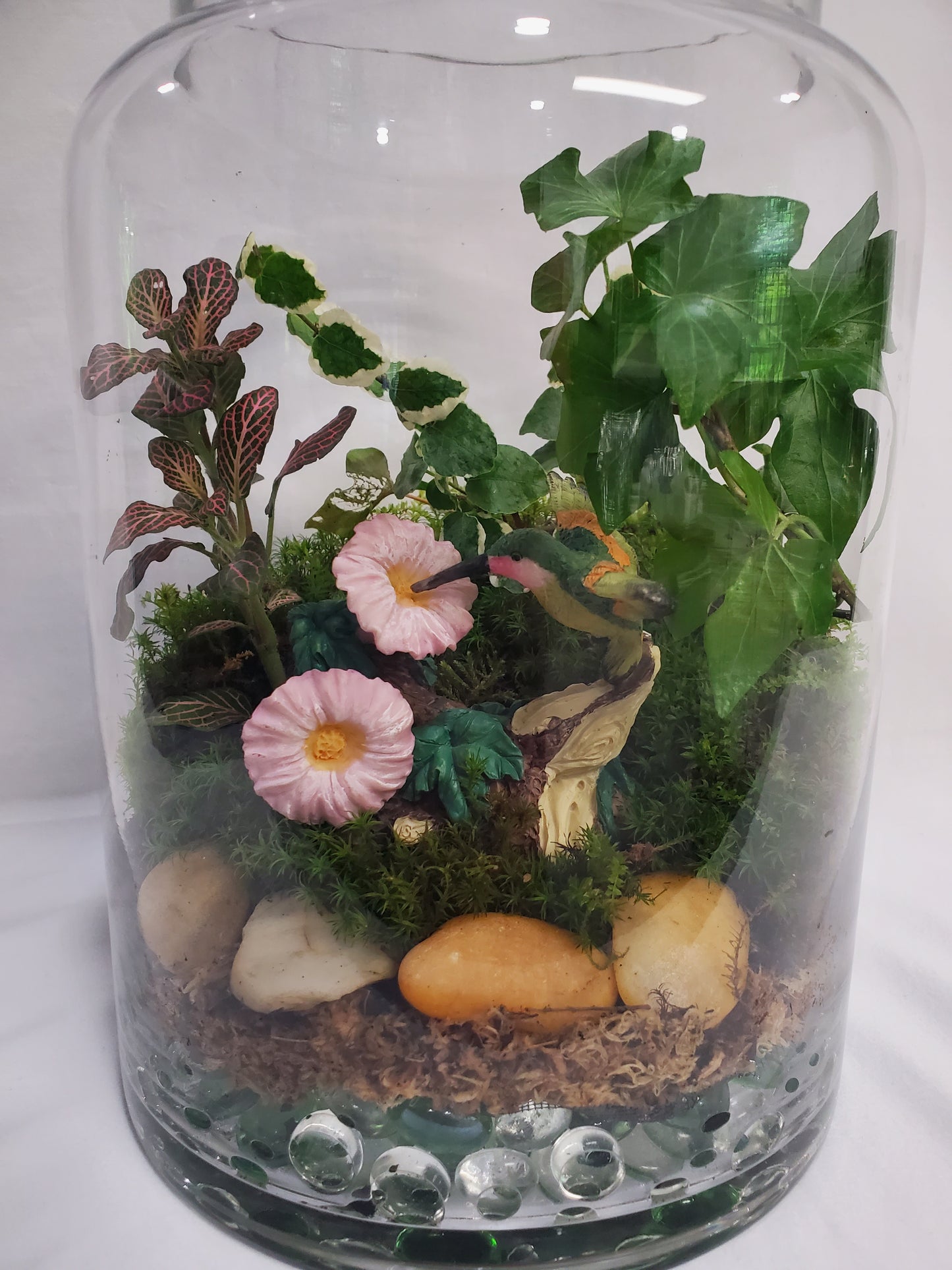 Hummingbird's Garden Terrarium