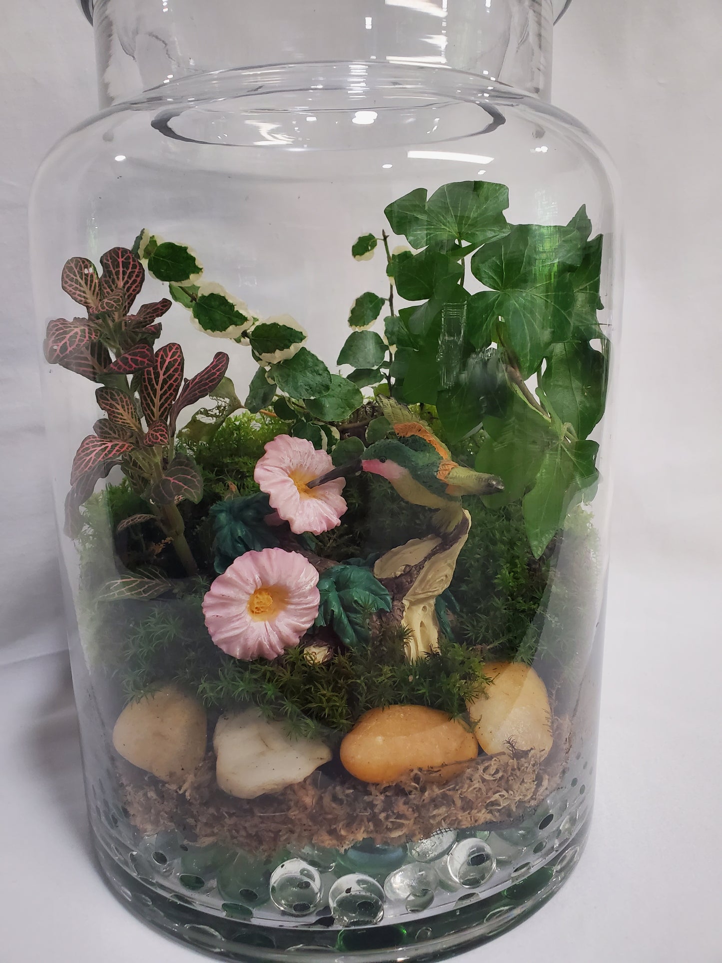 Hummingbird's Garden Terrarium