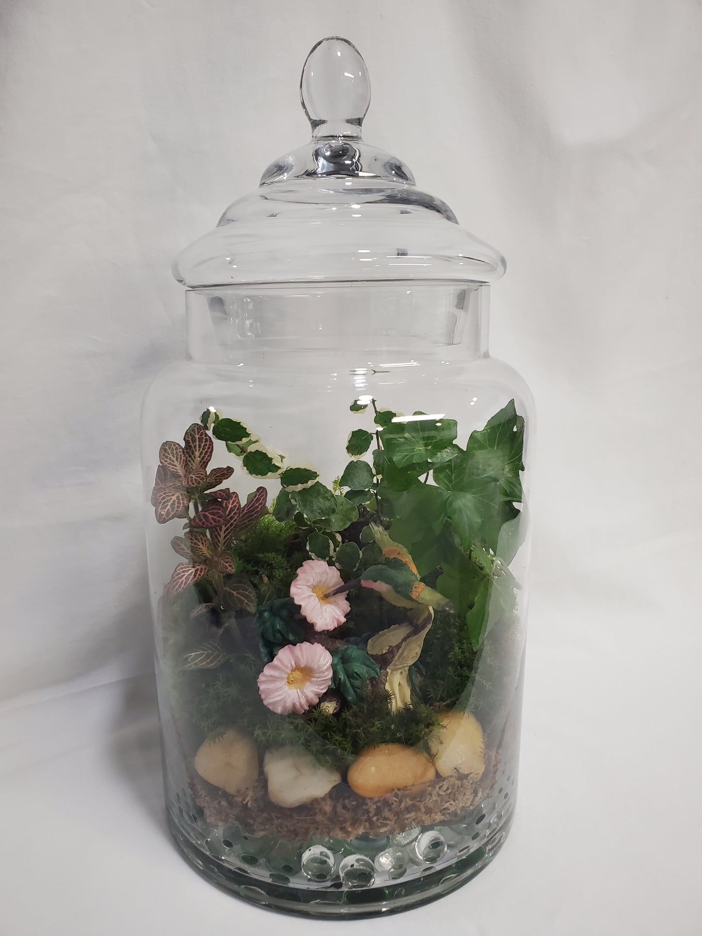 Hummingbird's Garden Terrarium
