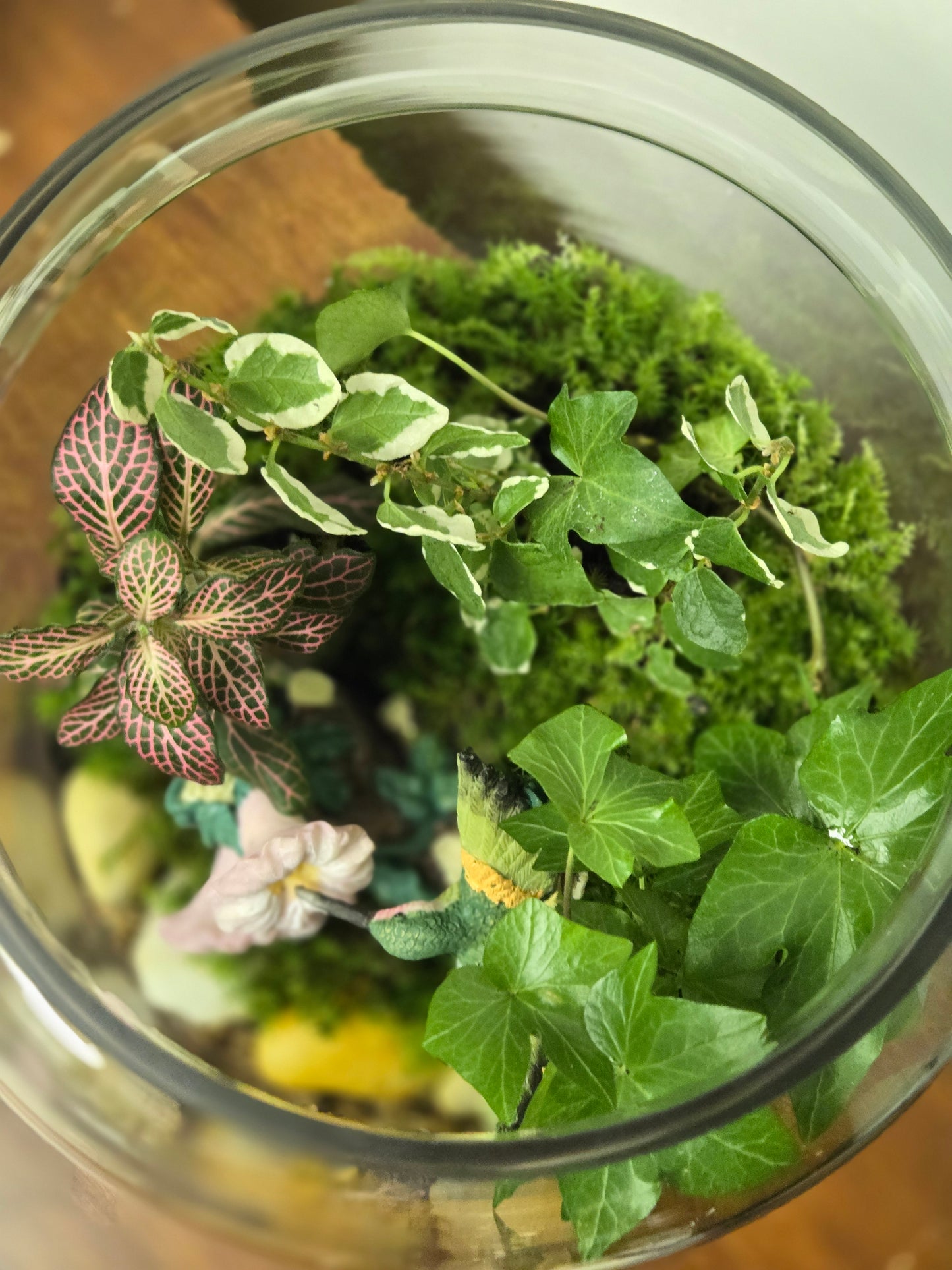 Hummingbird's Garden Terrarium