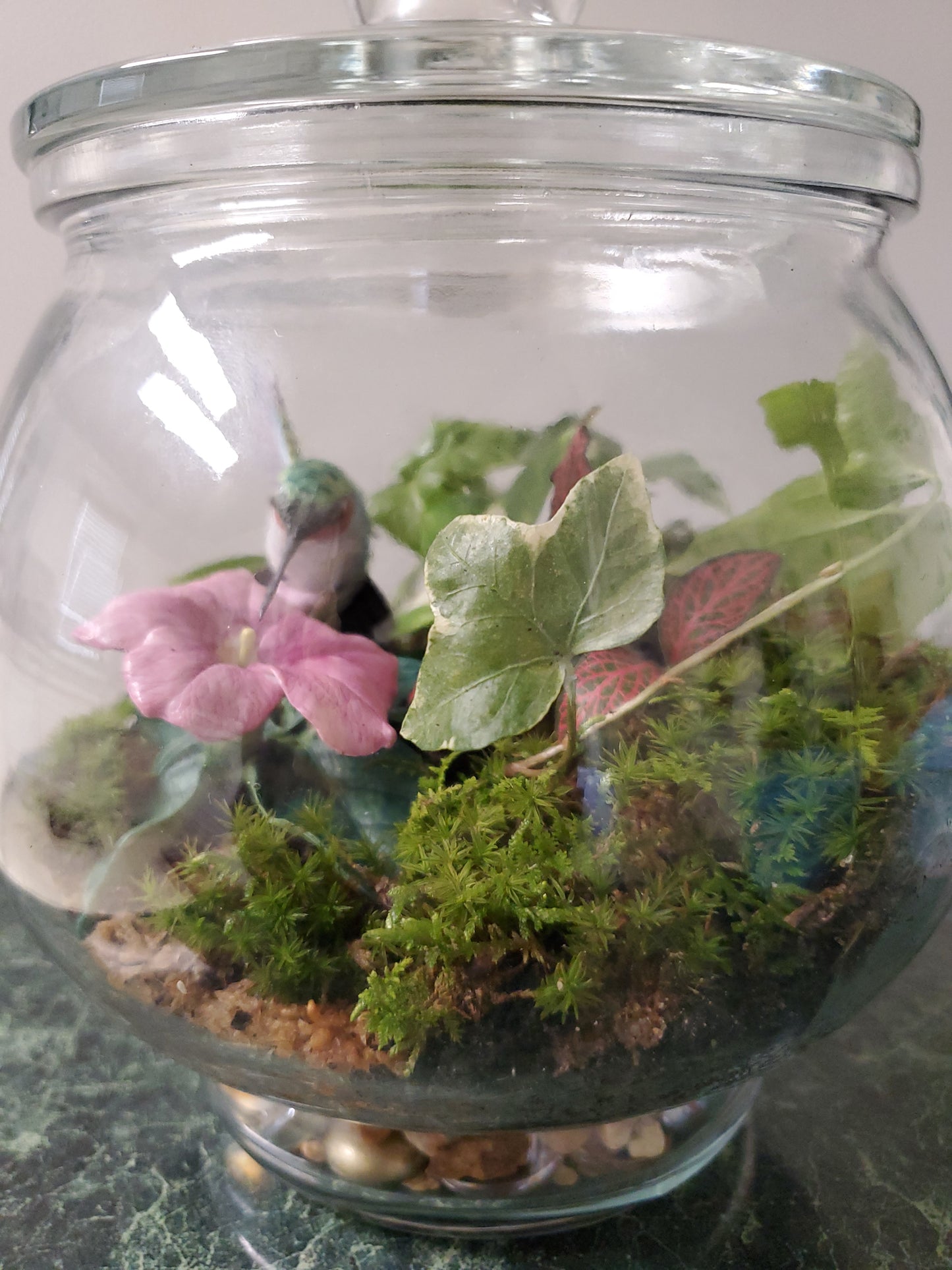 Hummingbird's Garden Terrarium