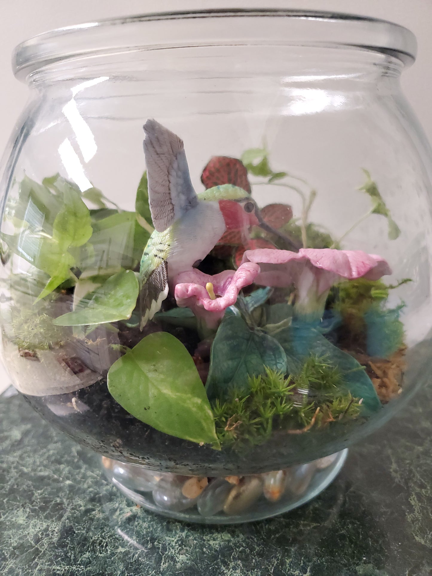 Hummingbird's Garden Terrarium