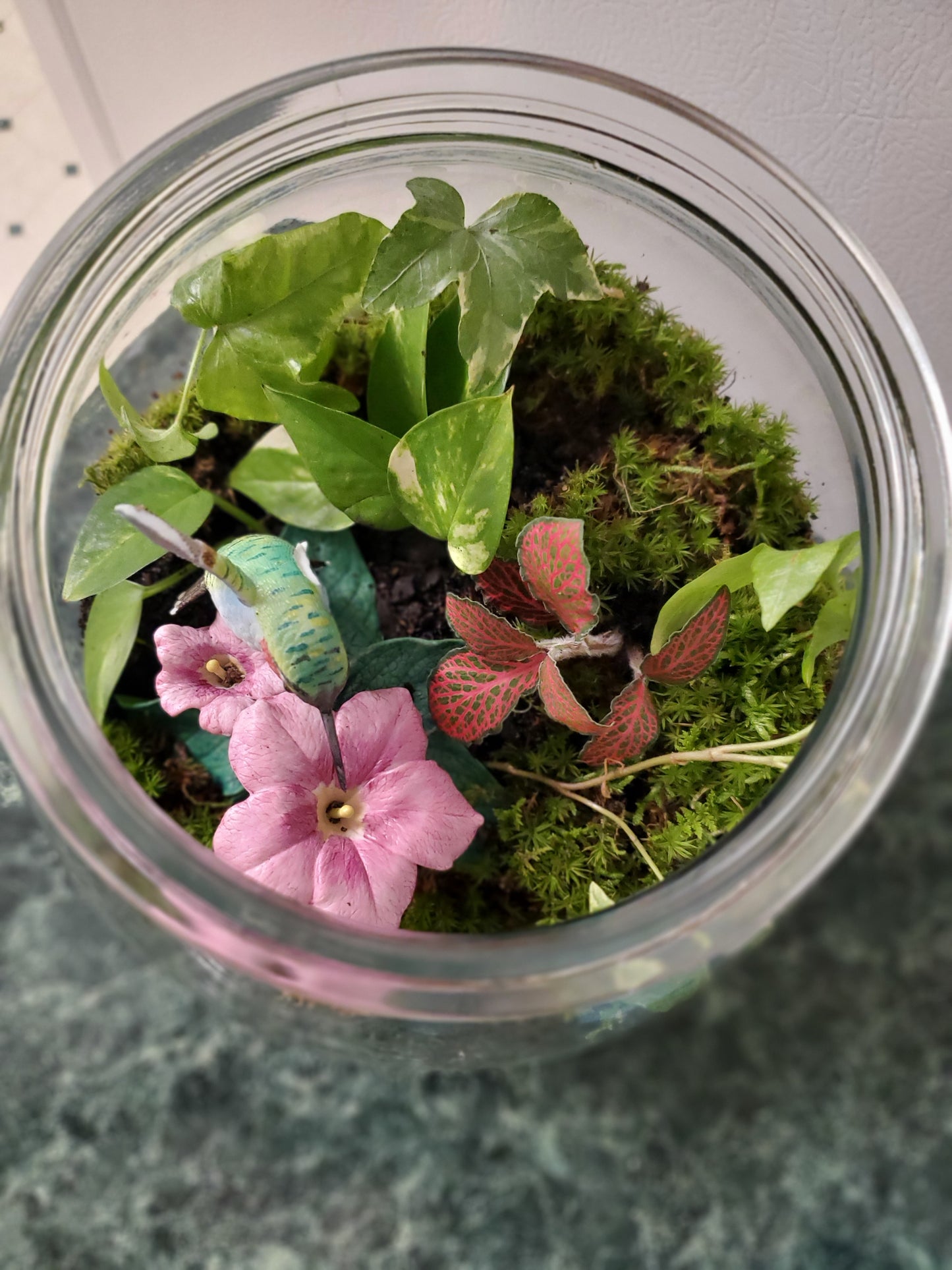 Hummingbird's Garden Terrarium