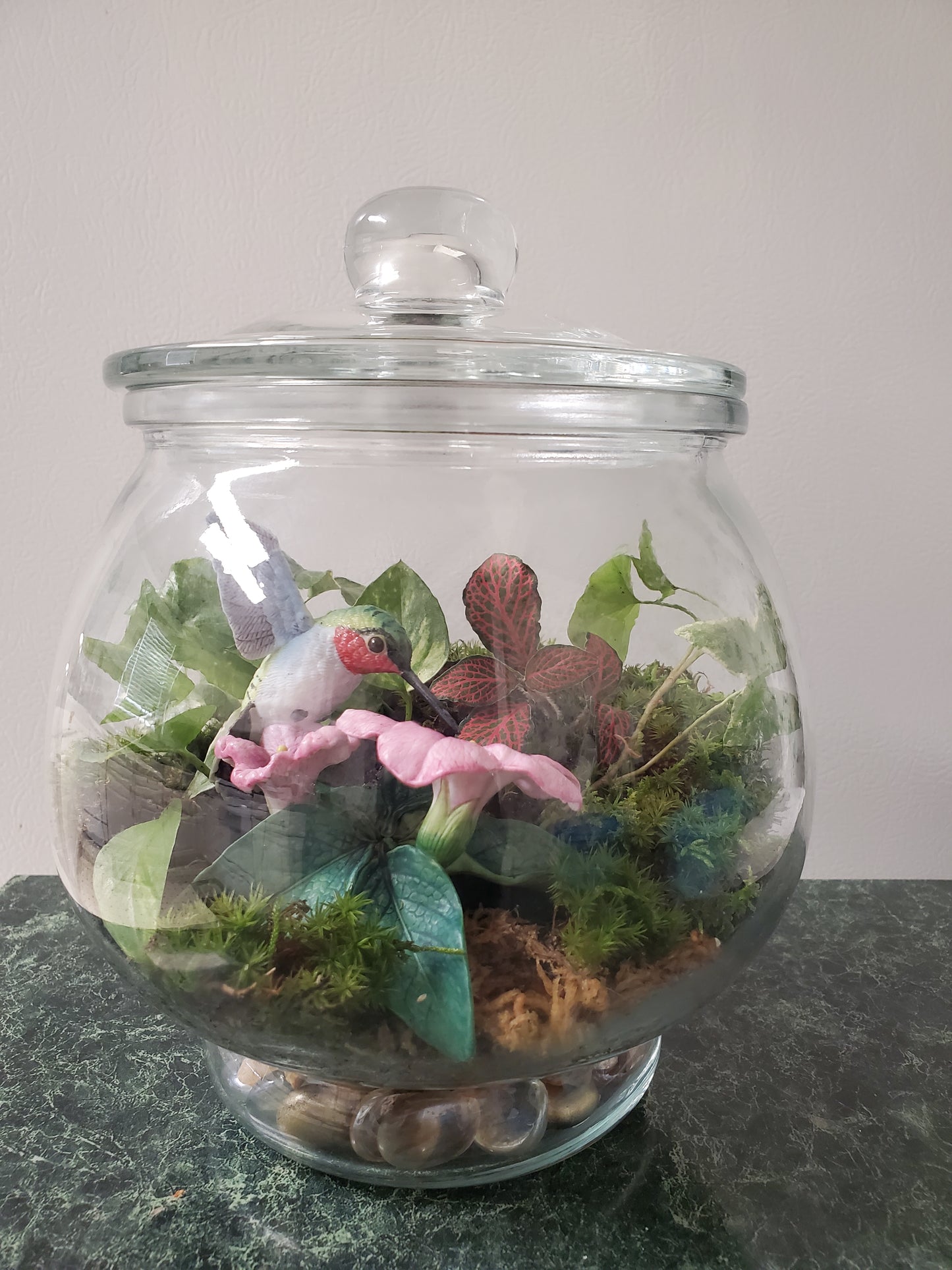Hummingbird's Garden Terrarium